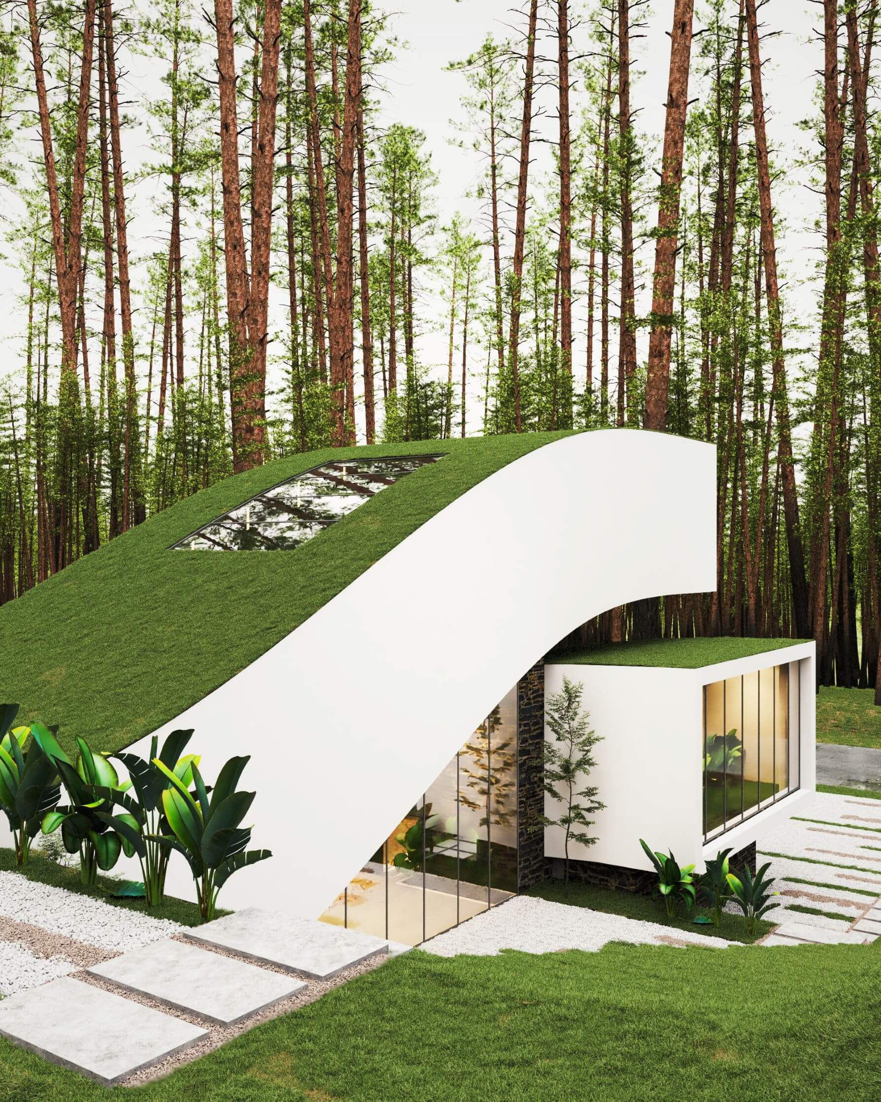 green roof home